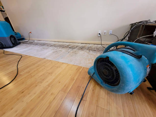 Professional Water Extraction technician working in Allendale, CA